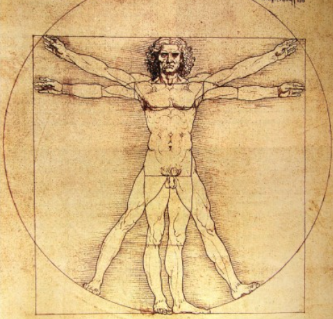 Resultado de imagen de relacion del hombre de vitruvio con las matematicas