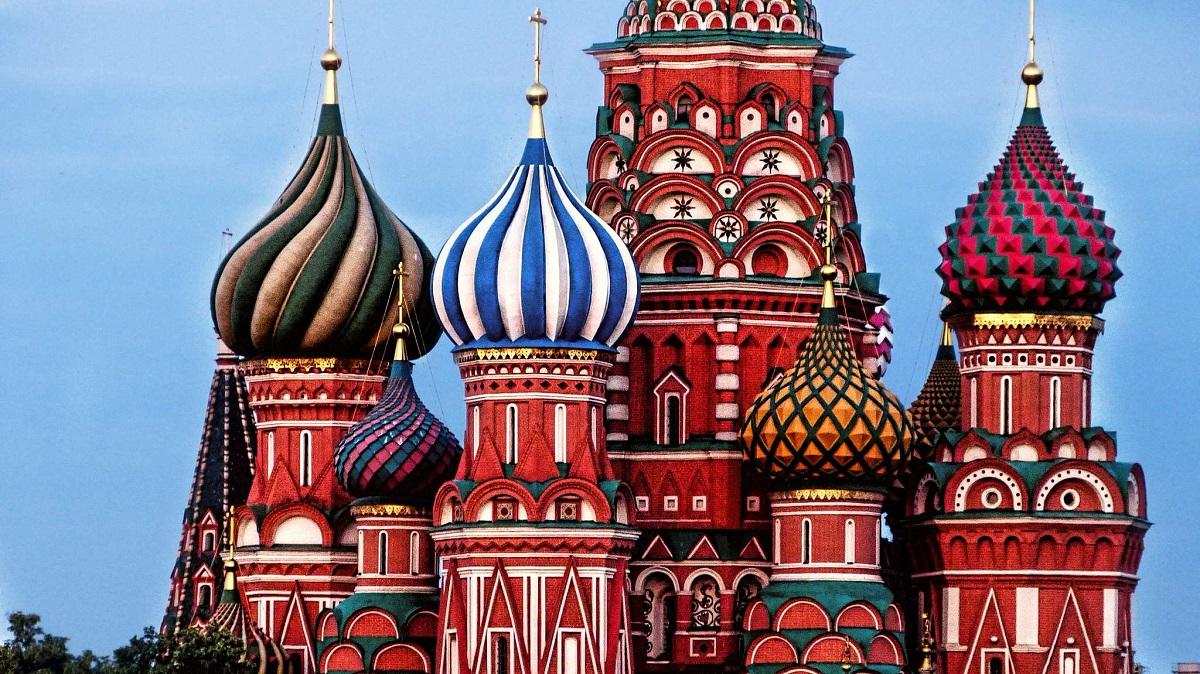 Resultado de imagen de fotos de moscu