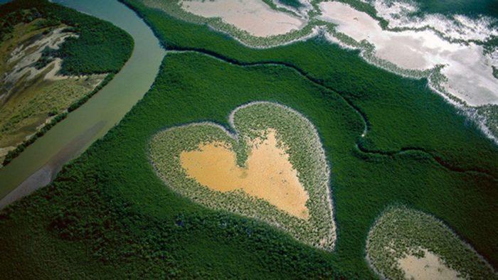 Un grito a la naturaleza.