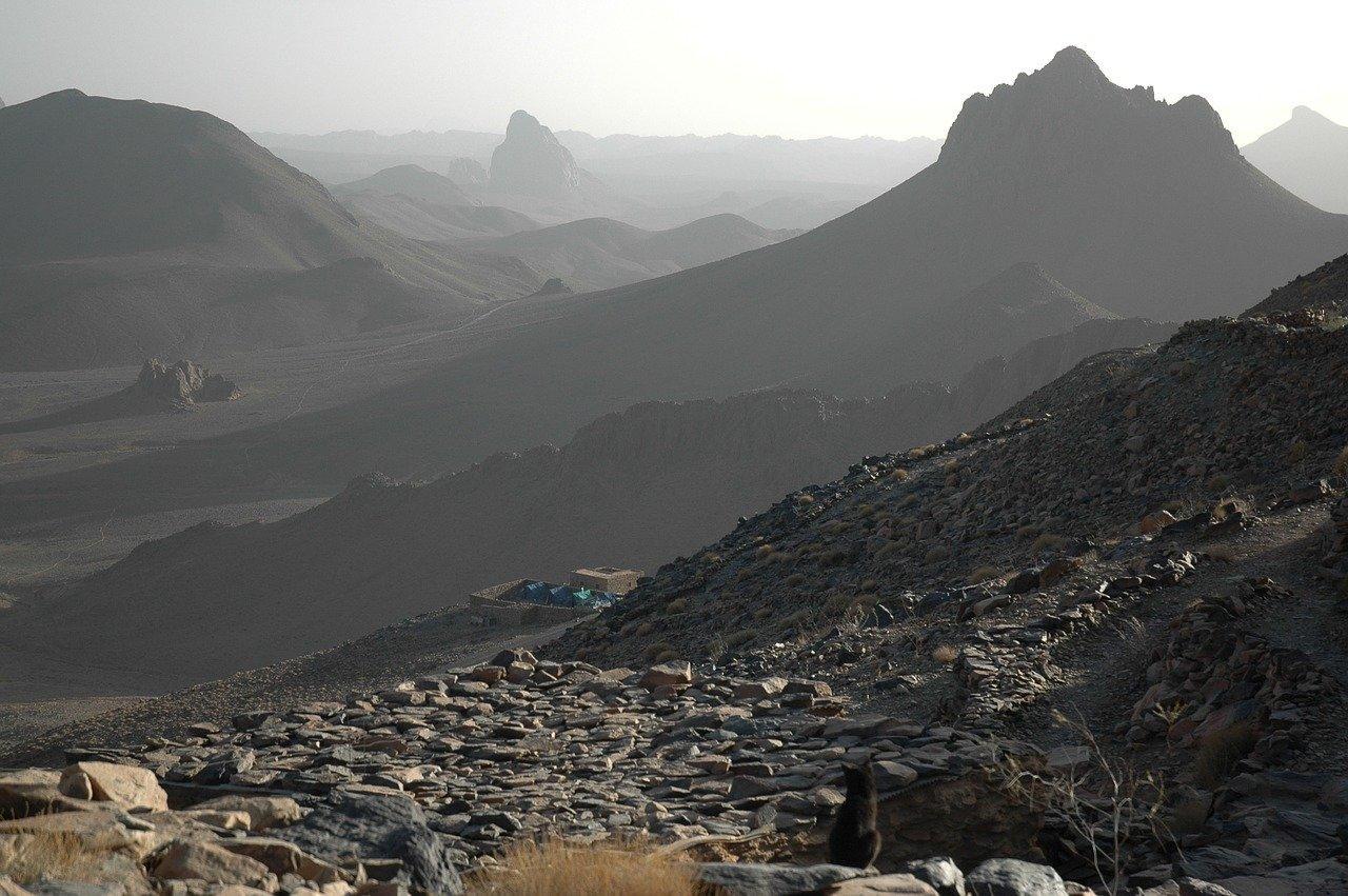 Que Idioma Se Habla En Argelia Qué Lenguas se Hablan en Argelia? | Superprof